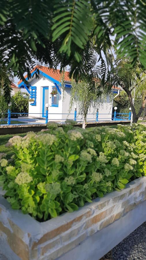 Complex Turistic Essenza - B&B