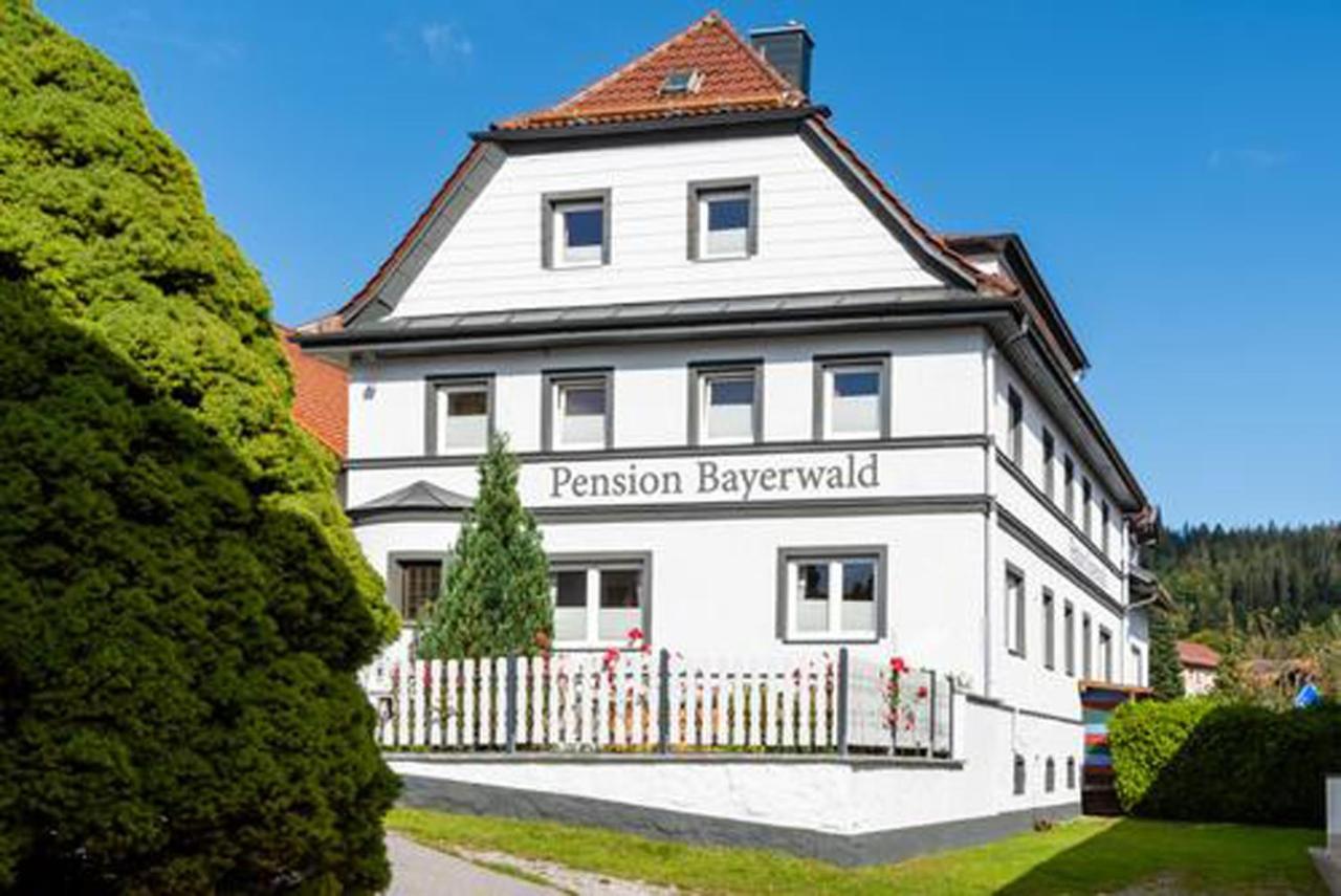 Pension Bayerwald mit Ferienwohnung - Ferienwohnung