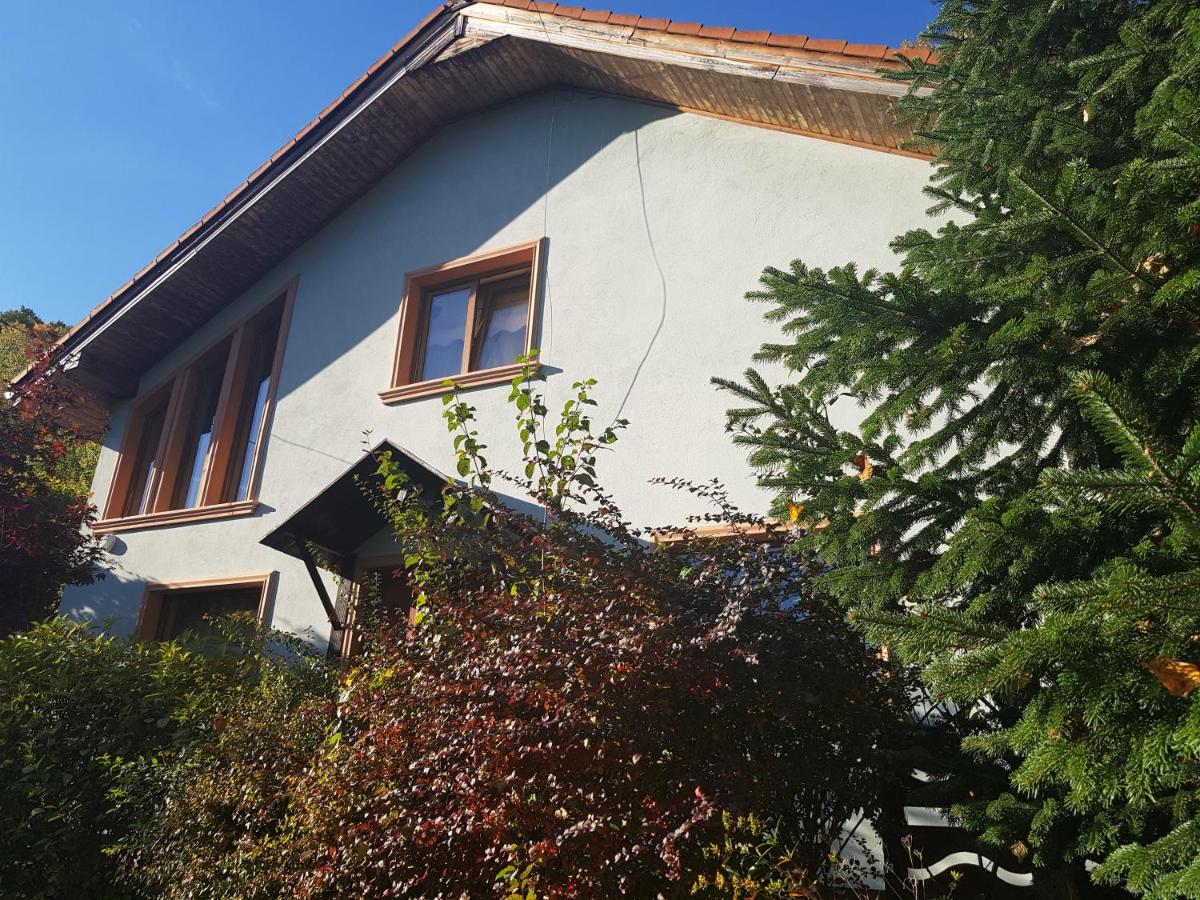 Vila de vacanta Amalia - B&B