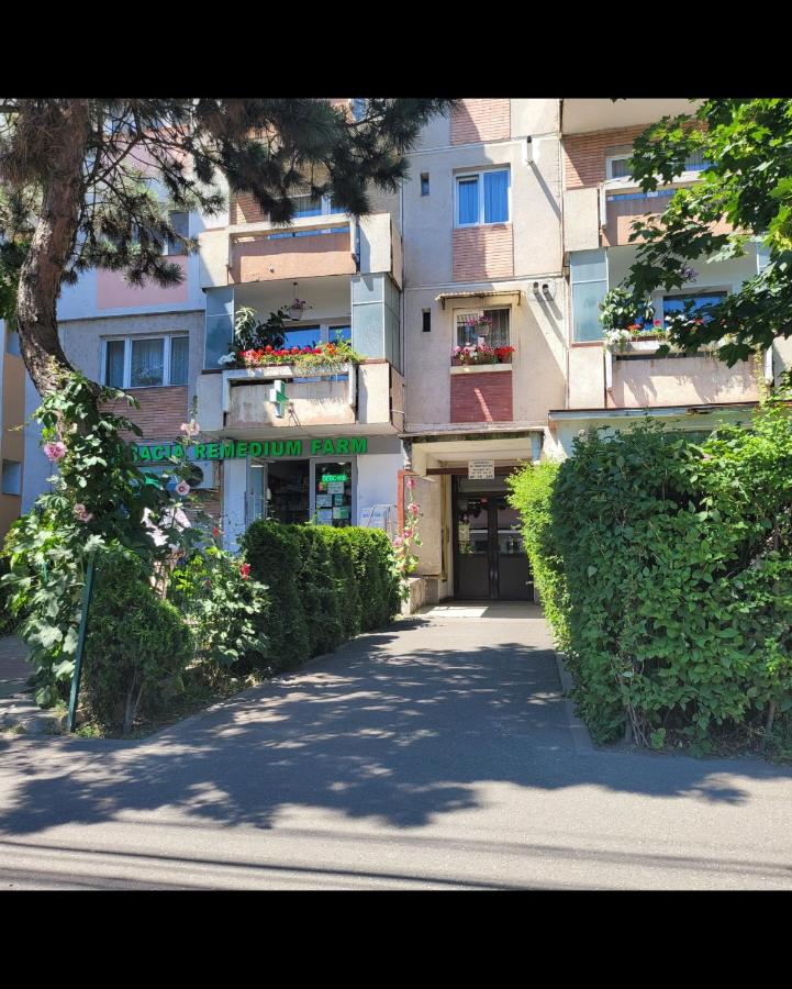Hermann Apartment - Bed and Breakfast