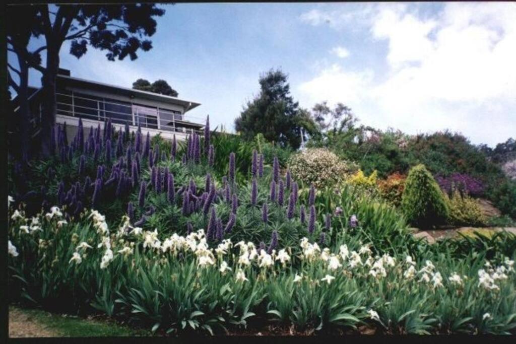 Family Home Prestigious Suburb Panoramic Views - B&B