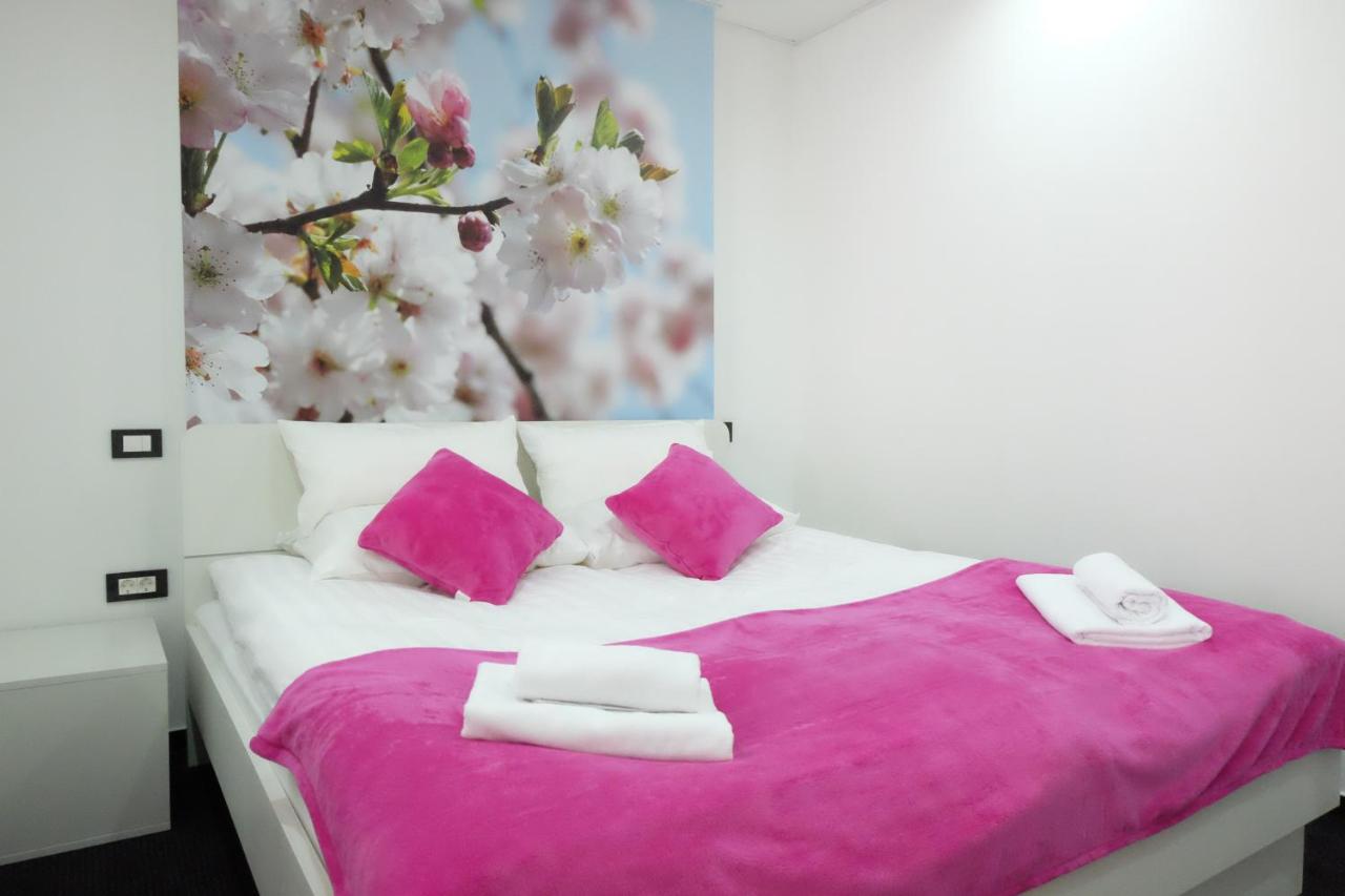Suite Superior