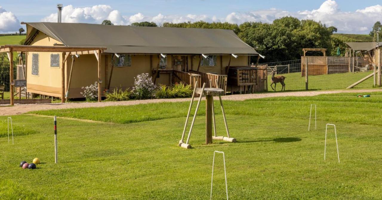 B&B Crediton - Luxury Safari Lodge surrounded by deer!! 'Roe' - Bed and Breakfast Crediton