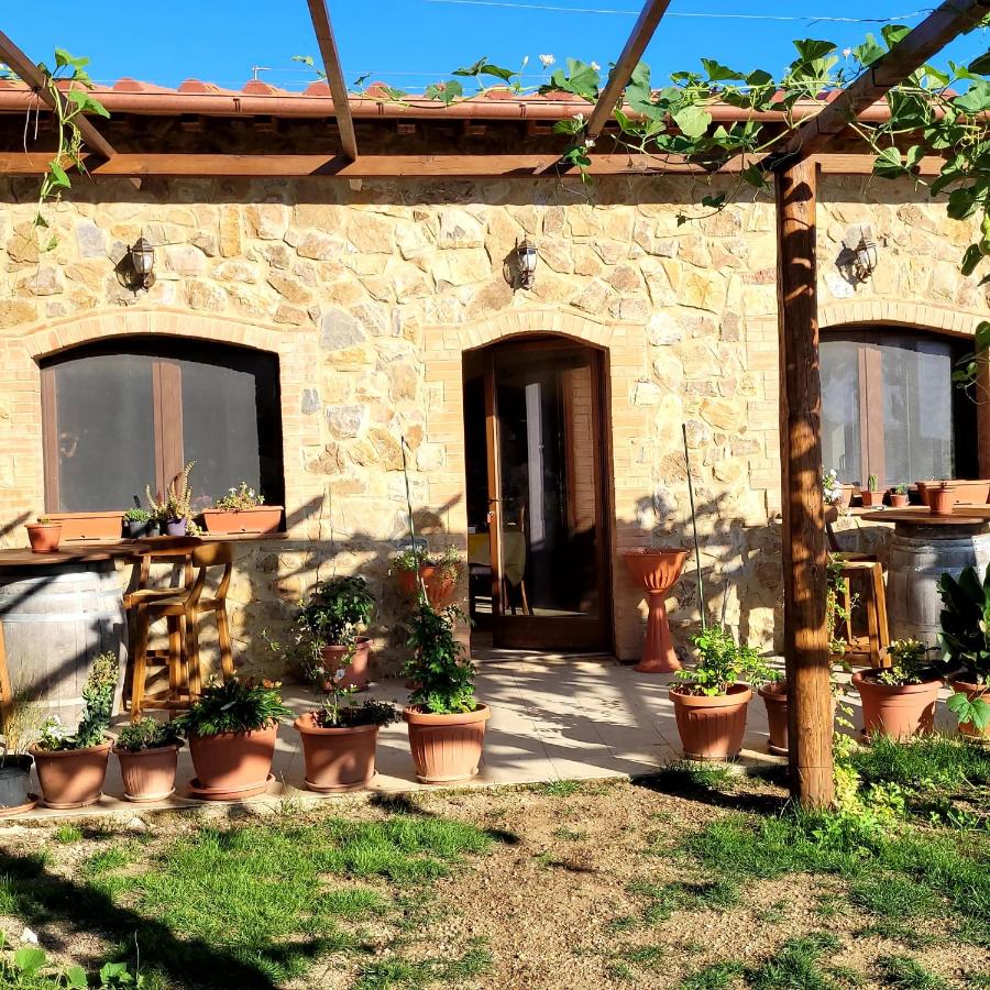 Agriturismo Poggio la Lodola - B&B Massa Marittima