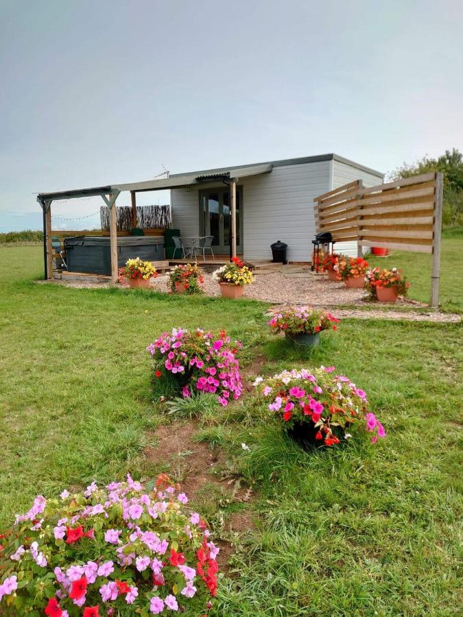 B&B Tuxford - Beautiful Wooden tiny house, Glamping cabin with hot tub 3 - Bed and Breakfast Tuxford