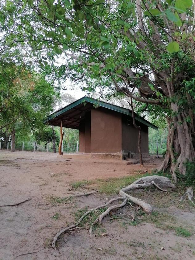 Bungalow con vistas al jardín