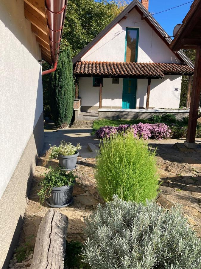 Holiday Home Tunnel Ravne - B&B