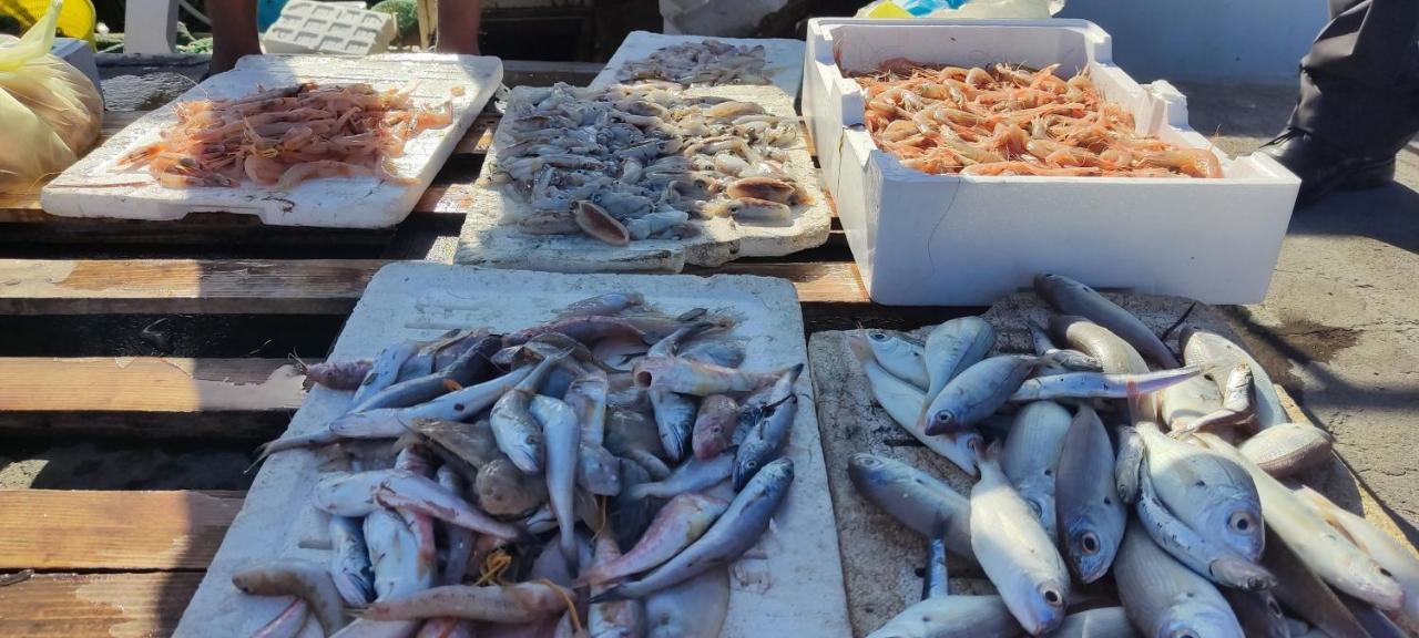 Appartamento Porto Marina VA1 - B&B Licata