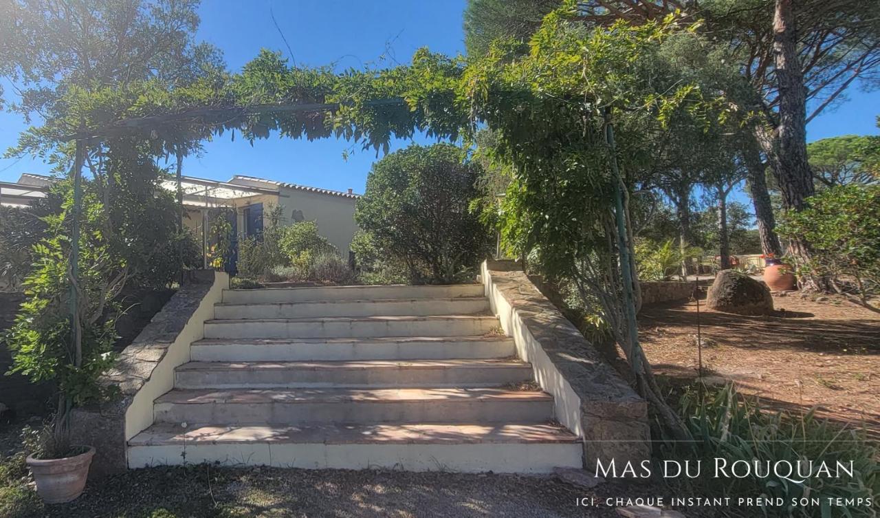 Le Mas du Rouquan - B&B