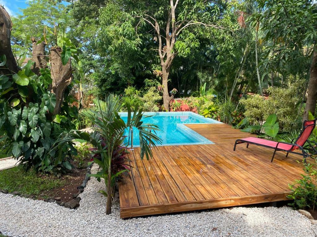 Casa Mapache - Bed and Breakfast