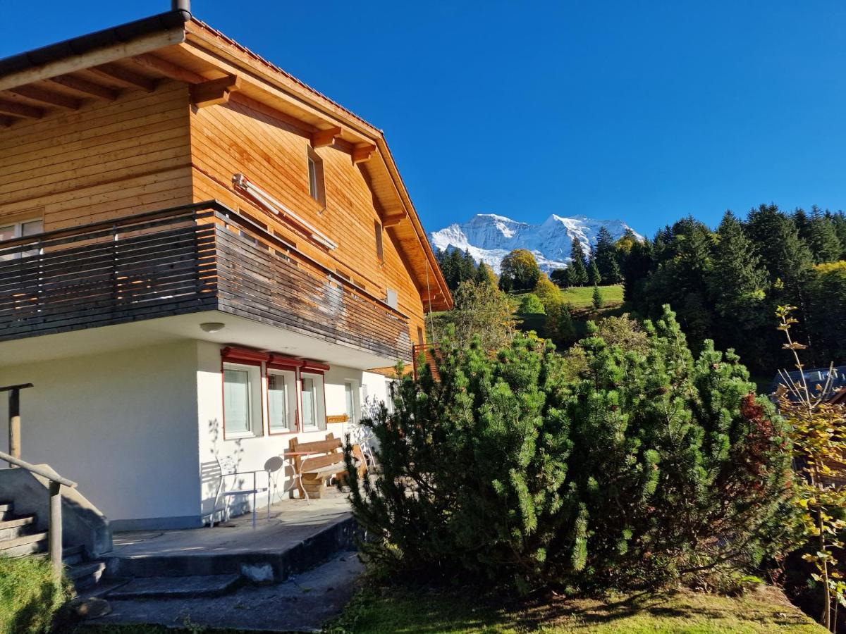 Chalet Viola - Verena's Loft - Chambres d’hôtes Wengen