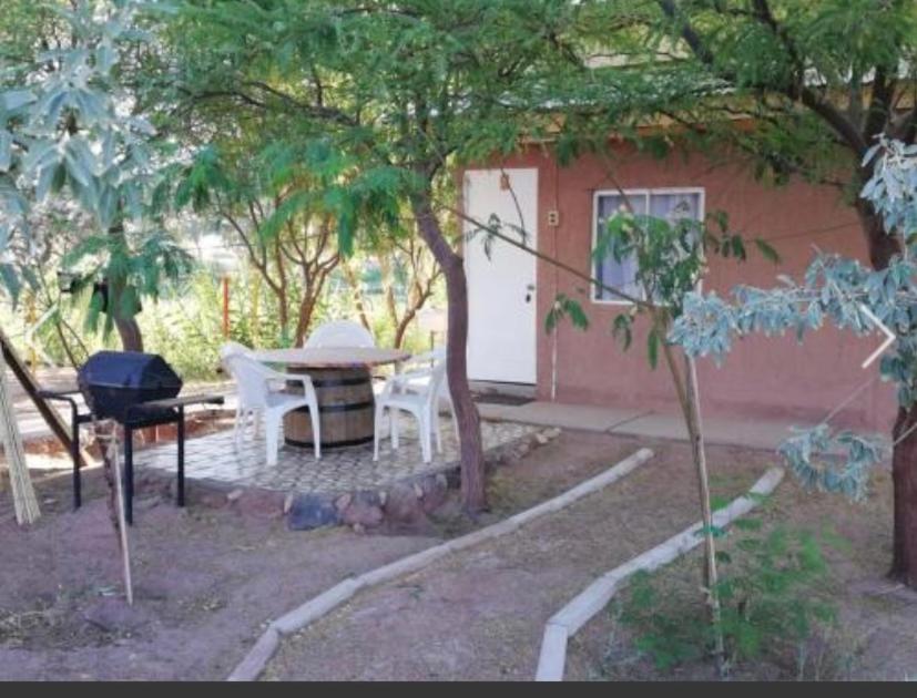 Appartement 1 Chambre