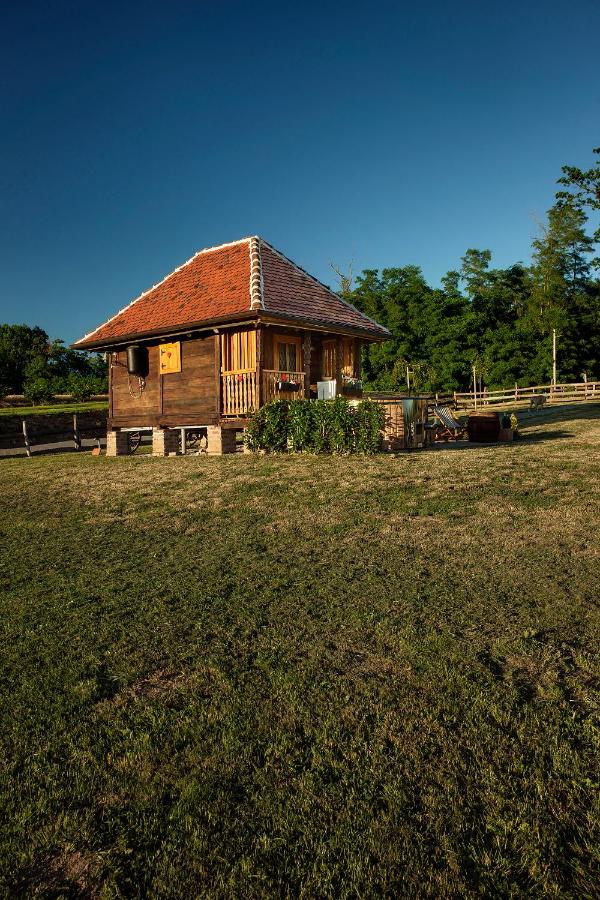 Tiny house AMBAR - B&B Starčevljani