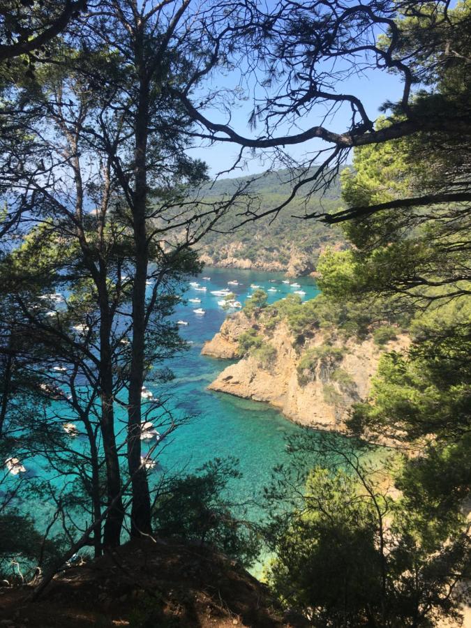 Studio cosy proche mer - B&B Saint-Cyr-sur-Mer