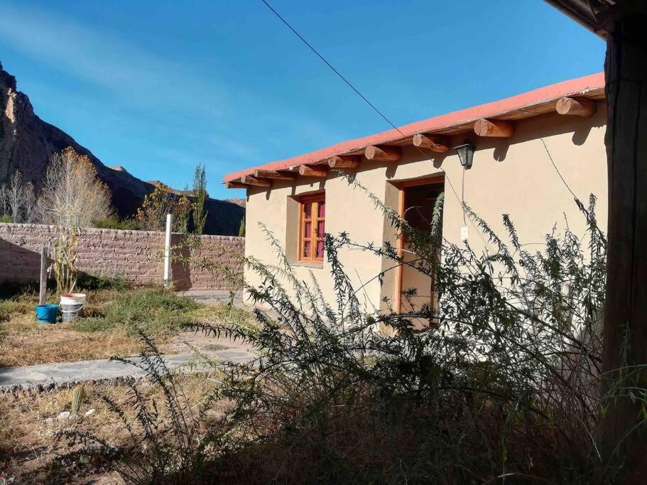 Cerro Amarillo, Cabaña de Juella - Chambres d’hôtes