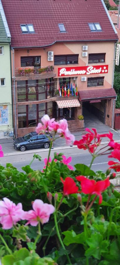 B&B Arad - Pensiunea Select - Bed and Breakfast Arad