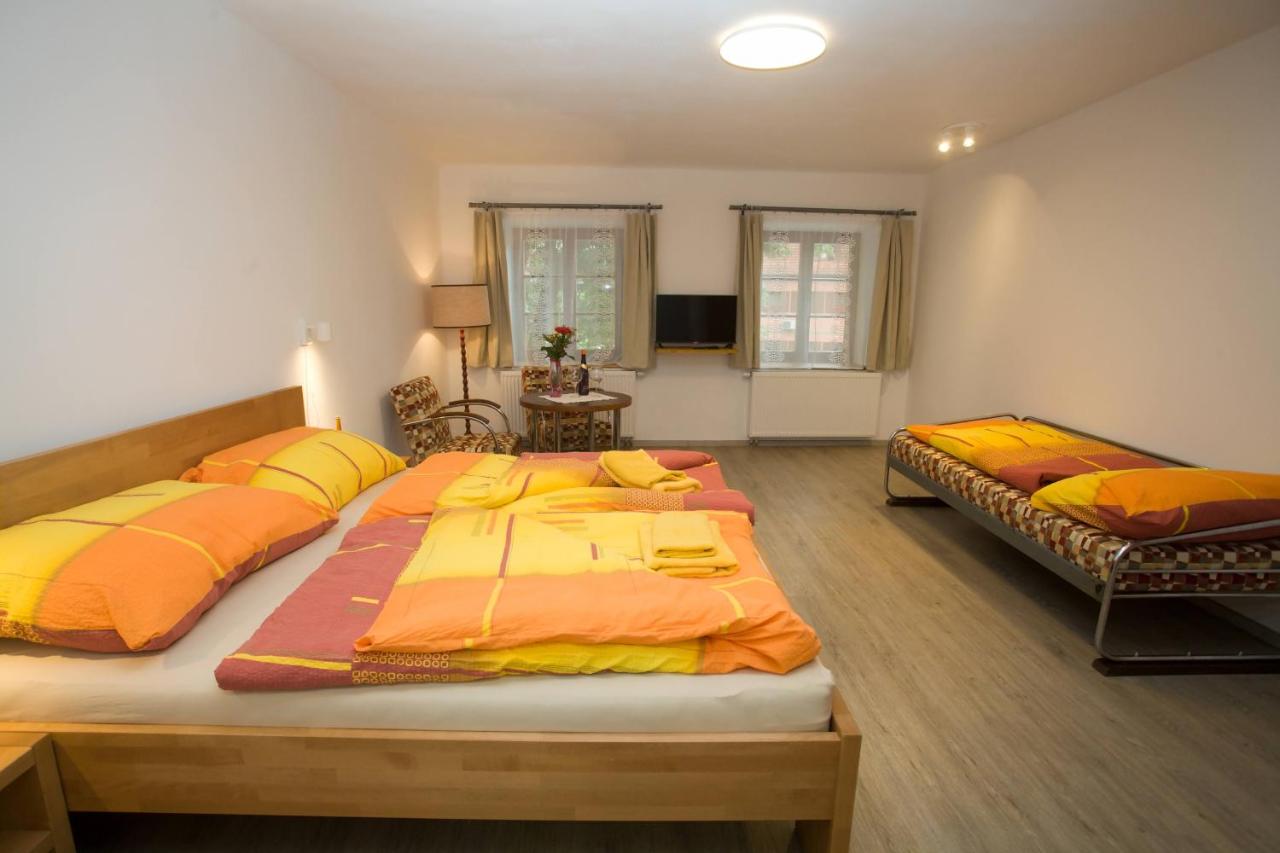 apartmany Zak - B&B Frymburk