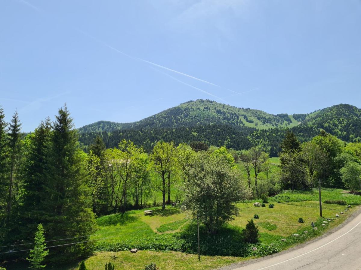 Studio with Mountain View