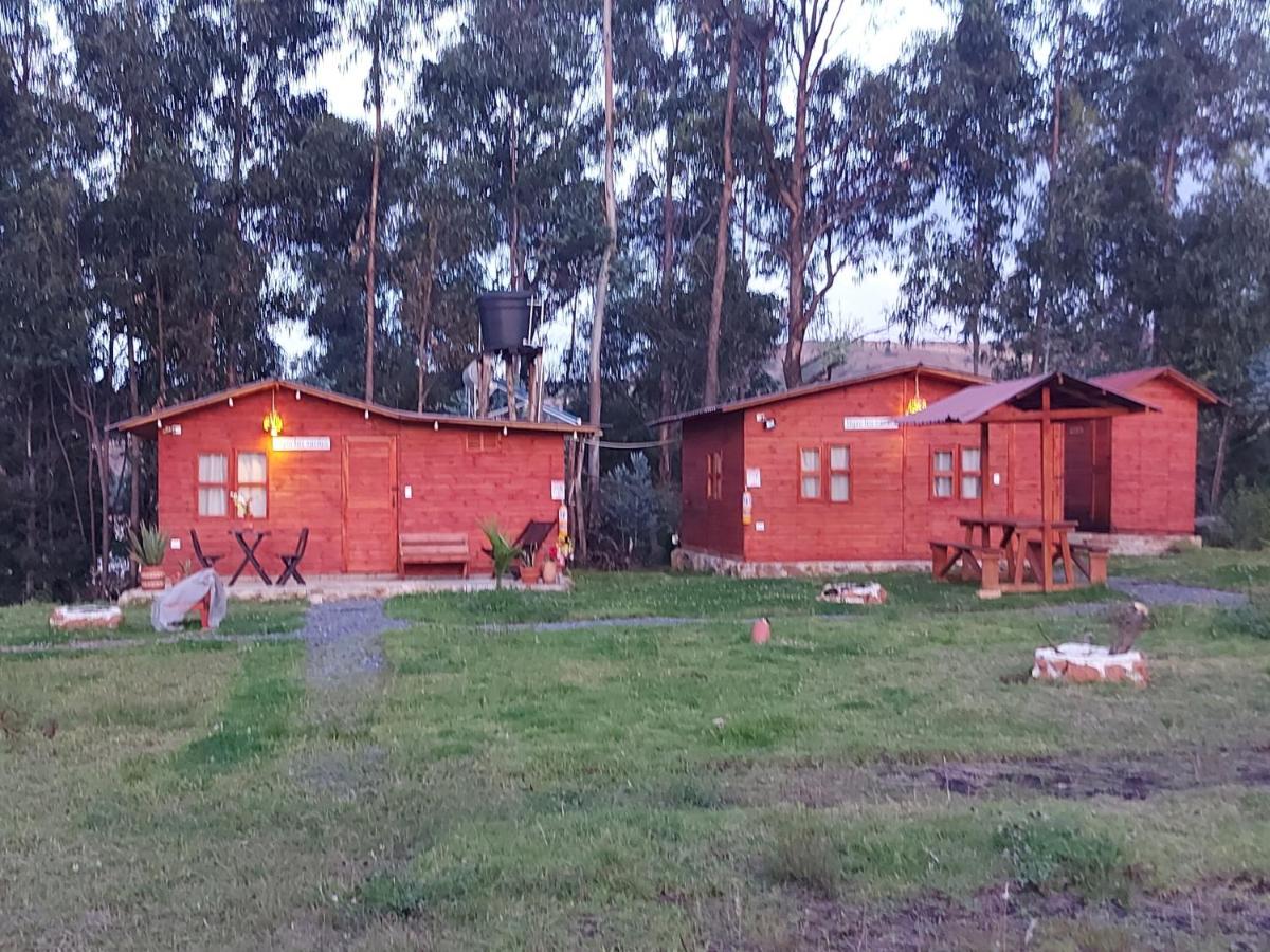 Mundo Nuevo Cabañas - B&B