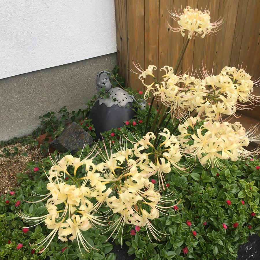 One Rest Private House - B&B Honmura