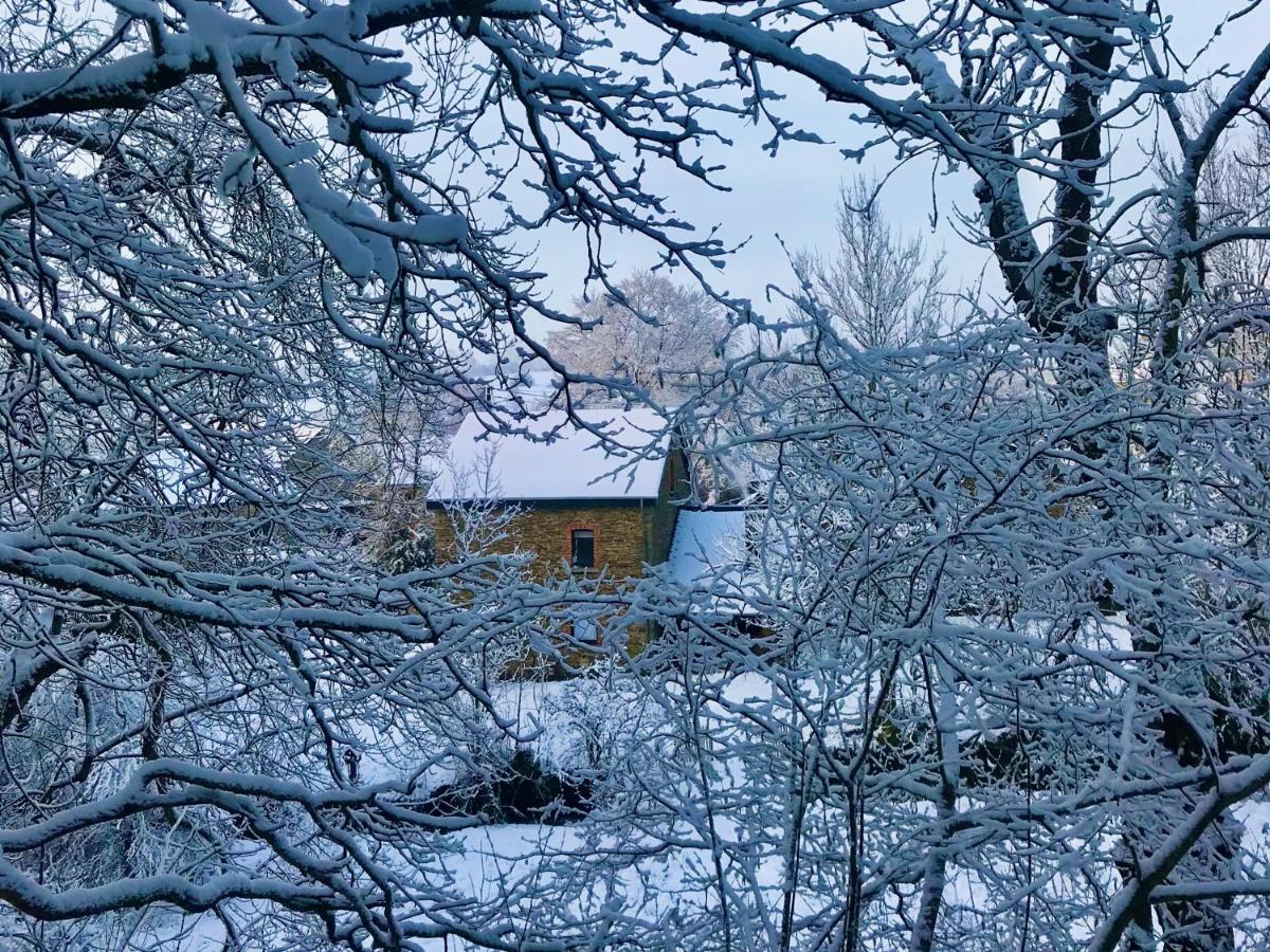 Gezellige Typisch Ardense woning met jacuzzi en grote afgesloten tuin in prachtige omgeving - Chambres d'hôtes Houffalize