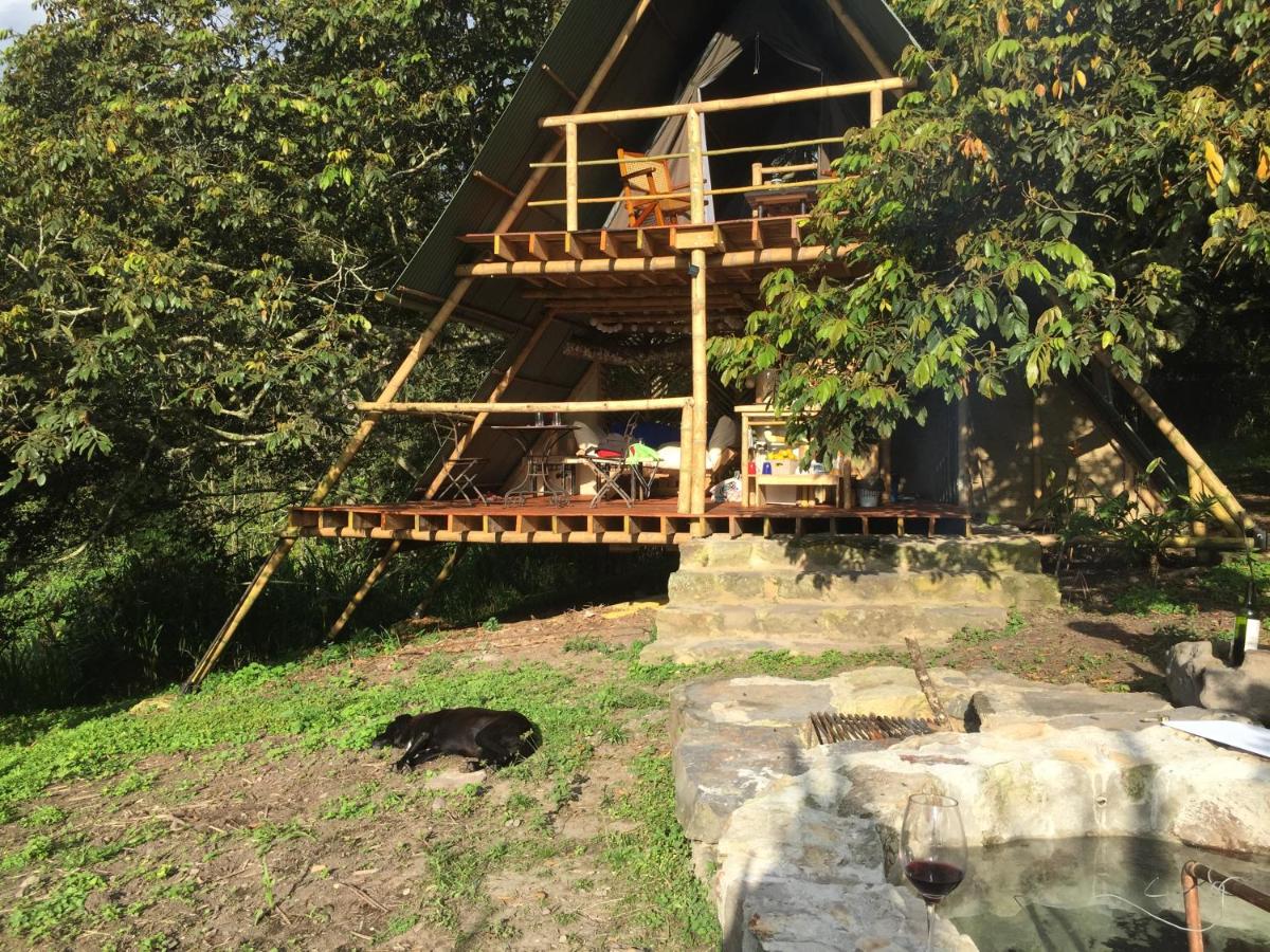 Glamping El Árbol en la Casa - B&B