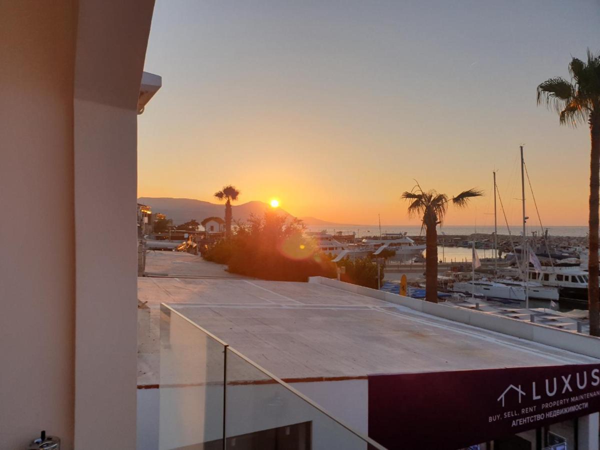 The Belvedere Latchi Marina - Bed and Breakfast