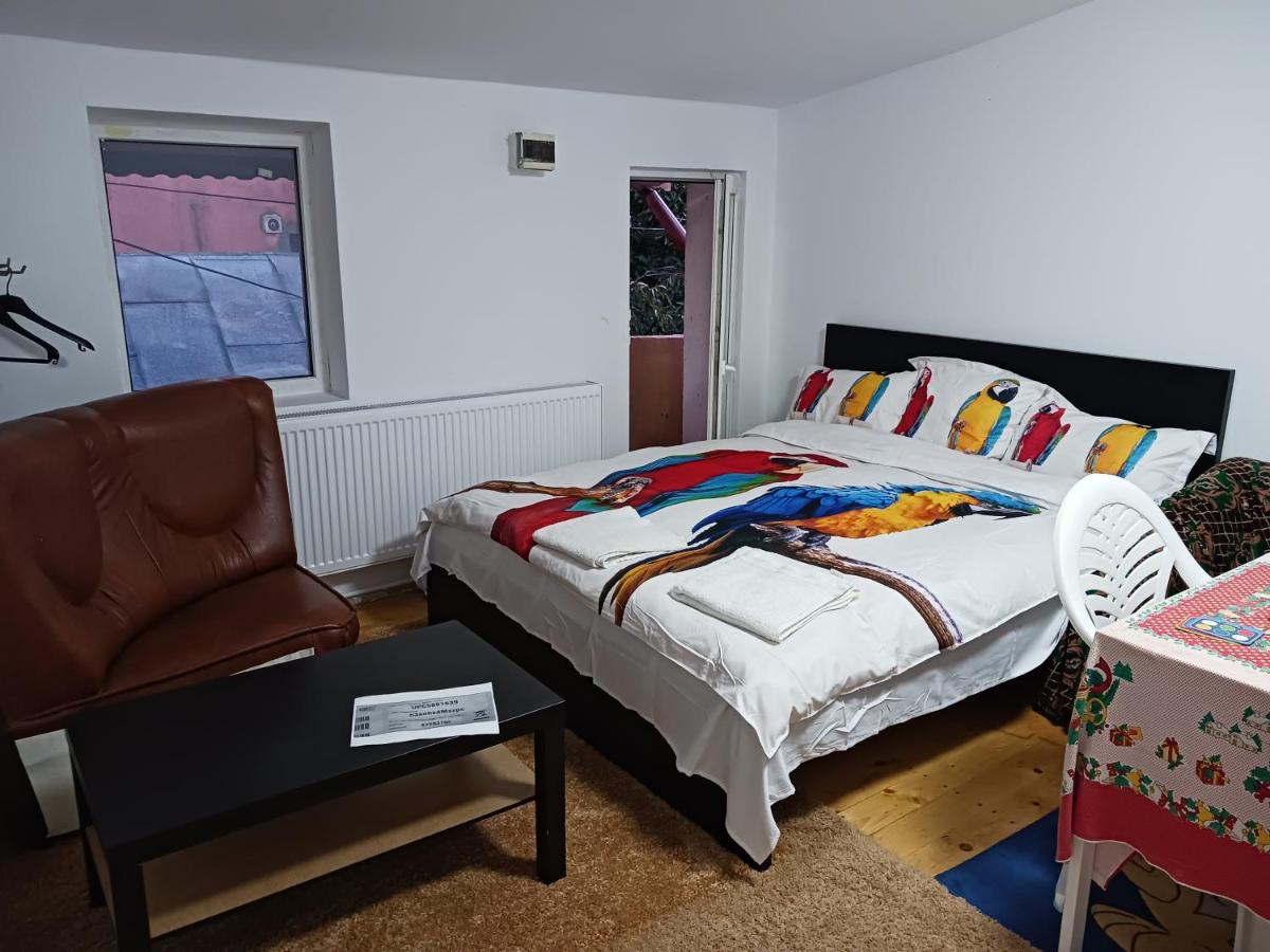 Sara 3 dormitoare nu primesc santieristi si petrecareti - B&B Bucarest
