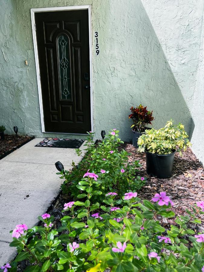 Hello Sunshine 321... Lift Off - B&B Titusville