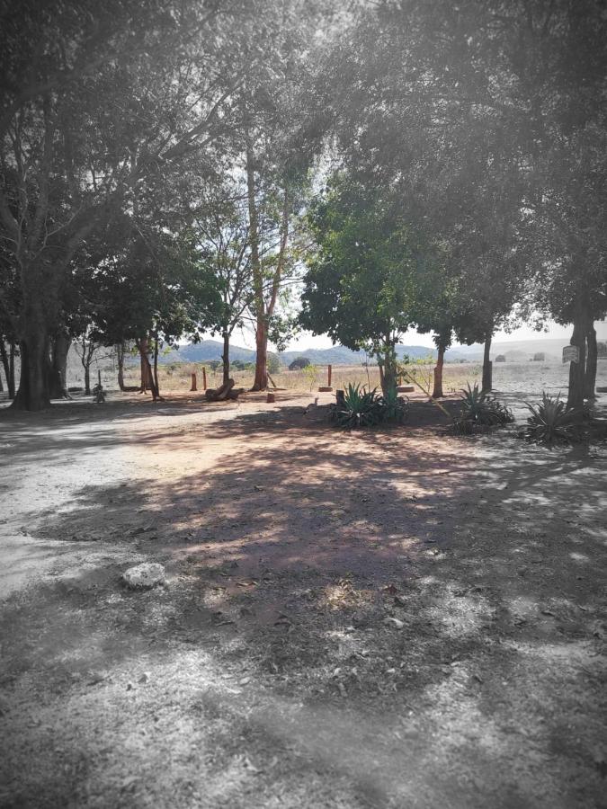 Pousada o Canto da Seriema - B&B