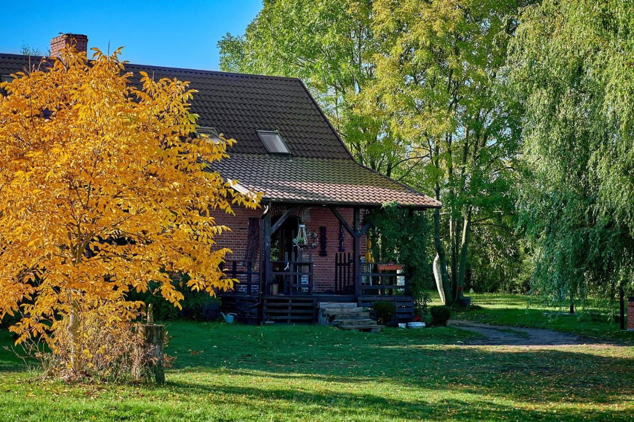 B&B Dzierżążno Małe - Agroturystyka Sòjkowy Zakątek - Bed and Breakfast Dzierżążno Małe