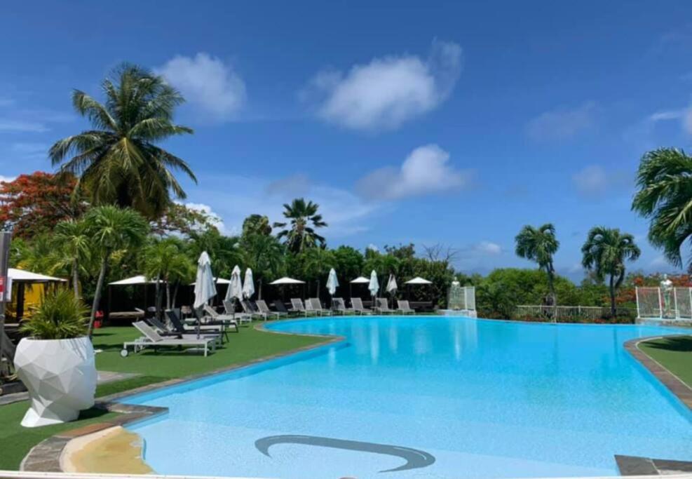 Appartement T2 lumineux, confortable et spacieux à Saint-Anne proche plage de l'Anse Caritan - Chambres d'hôtes Sainte-Anne