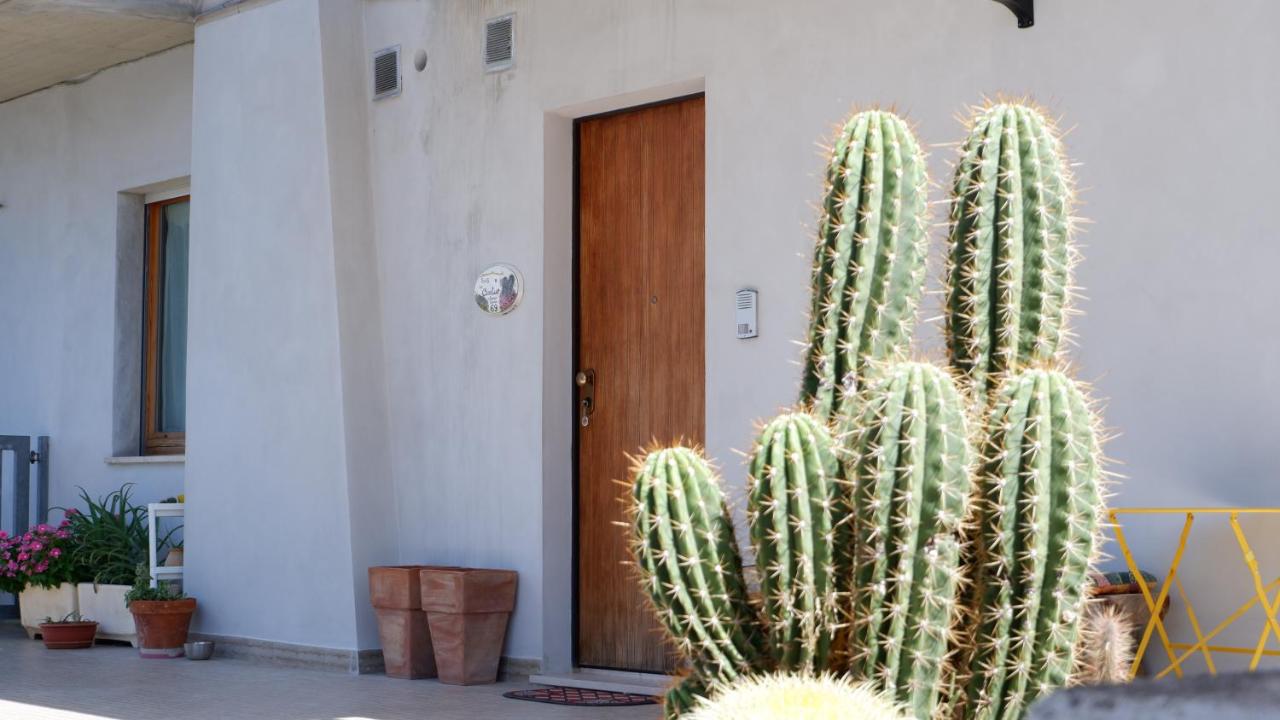 B&B del Cactus - Bed and Breakfast