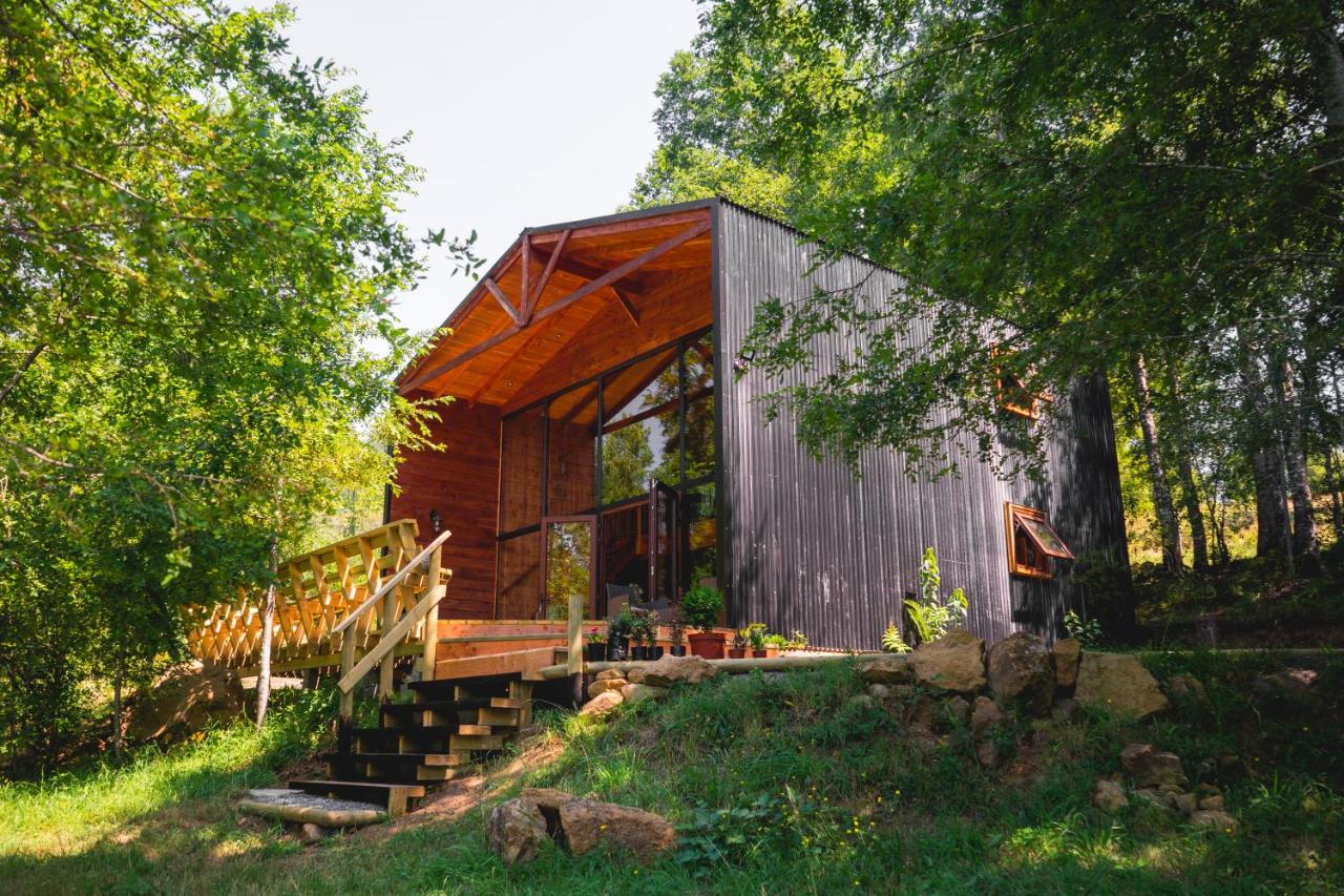 Nidos del Alma Lodge - Ferienwohnung Pucón