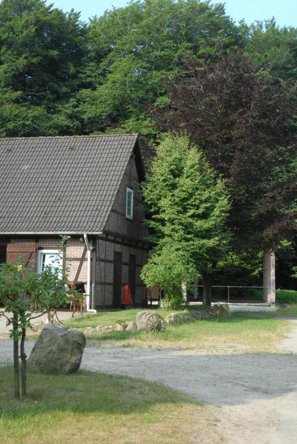 Appartamento con Vista Giardino