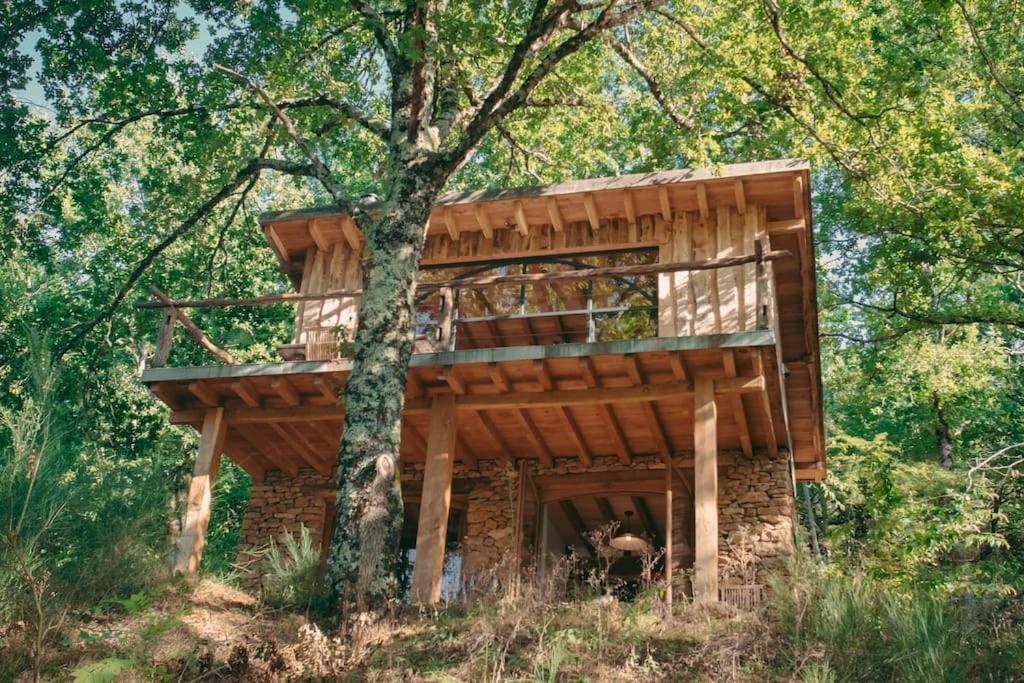Lake House I // Alauzet Ecolodge + Nature spa - Chambres d’hôtes Castelnau-de-Mandailles