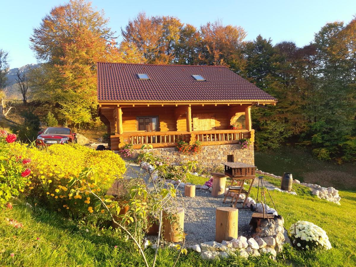 Cabana Adierea Vantului Bran - B&B