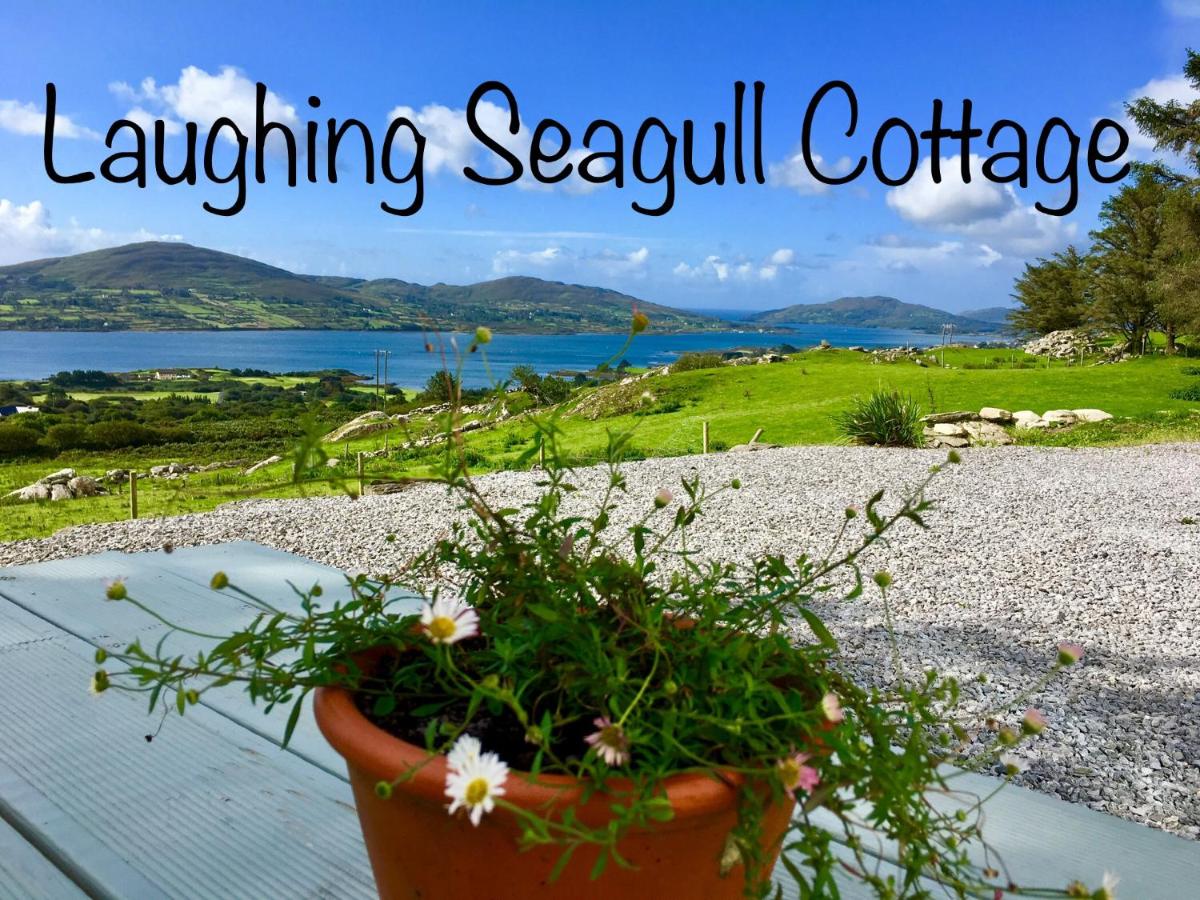 B&B Castletownbere - Laughing Seagull Cottage - unspoilt sea views - Bed and Breakfast Castletownbere