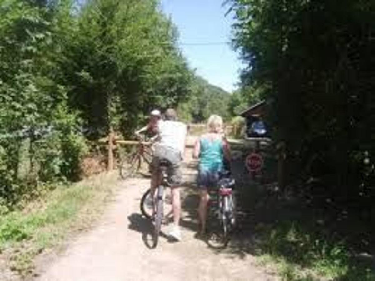 Charmant Gîte Familial avec Grand Terrain, à Proximité de Fontgombault et de la Creuse - Chambres d'hôtes Sauzelles