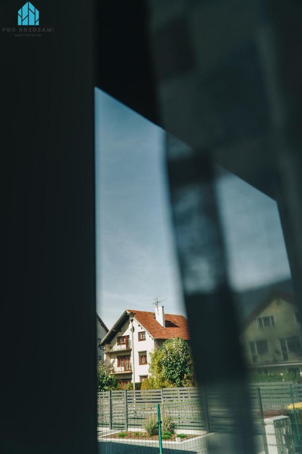 Pod Brzozami Apartamenty Wiejska - Ferienwohnung