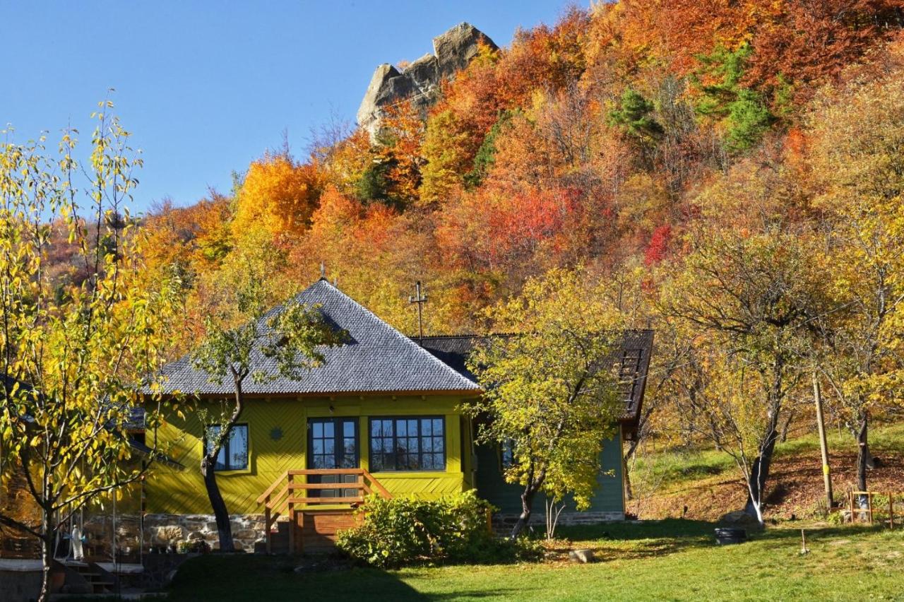 B&B Aluniș - Alunis Retreat - Bed and Breakfast Aluniș