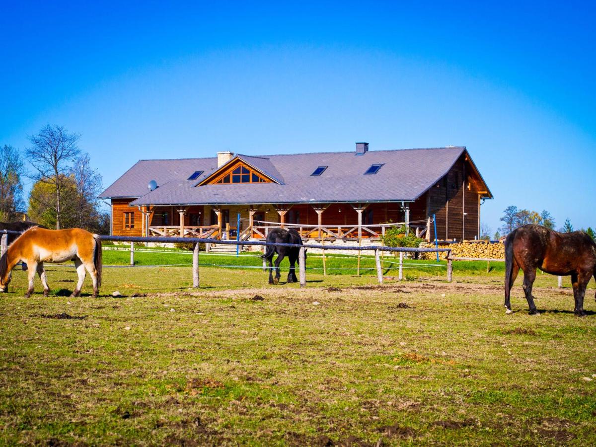 Karkonoskie Siodło - Bed and Breakfast