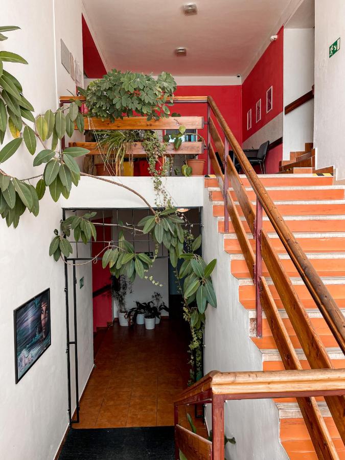 JP ubytování Loštice - B&B