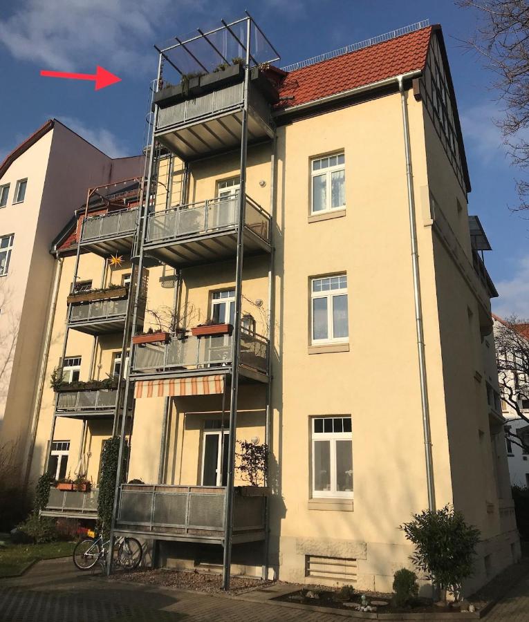 Stadtpark-Oase - Ferienwohnung