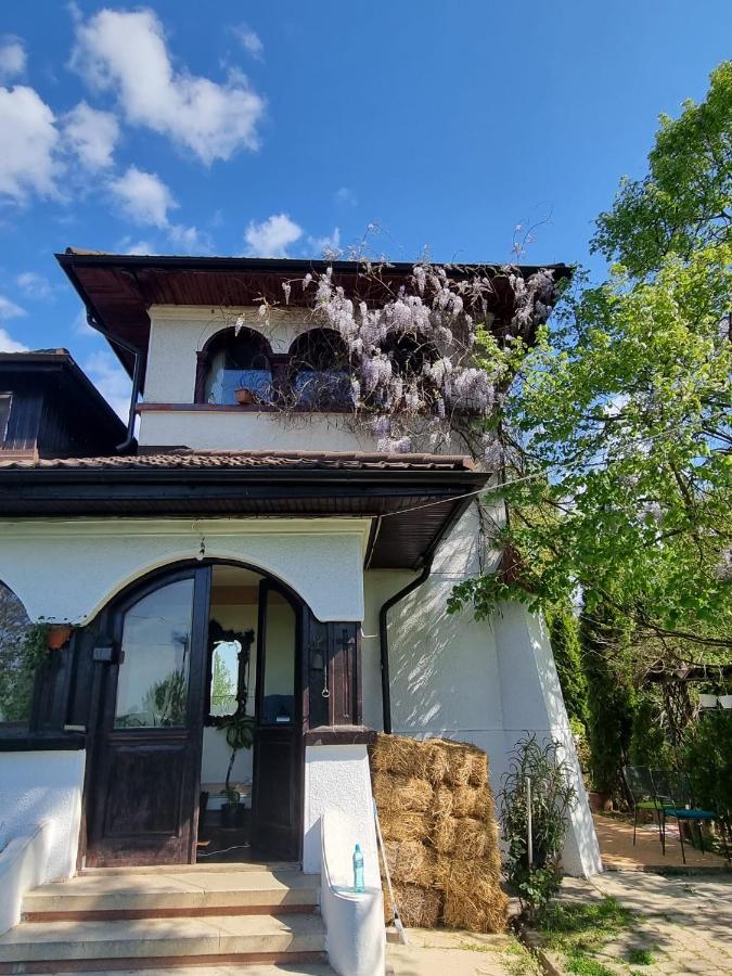 Conacul cu Nuci - B&B