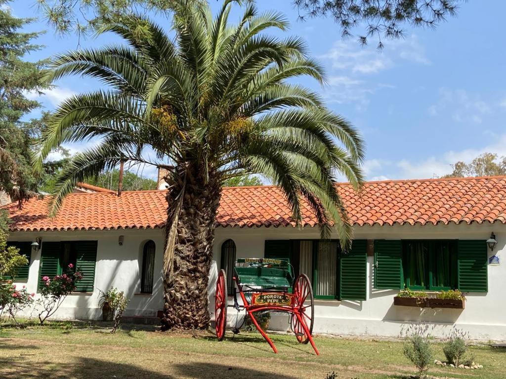 La Casa de Don Pepe - Chambres d’hôtes