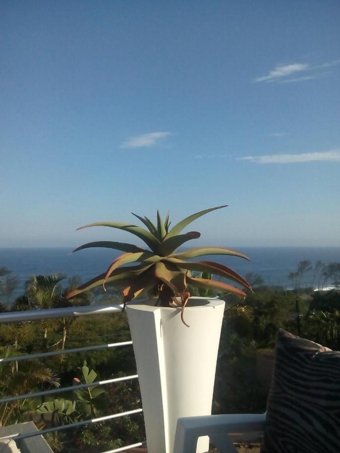 Deluxe Double or Twin Room with Balcony