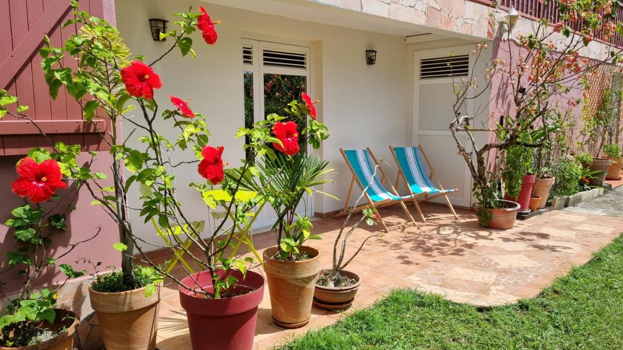 La Visite Tropicale - B&B Rivière-Pilote