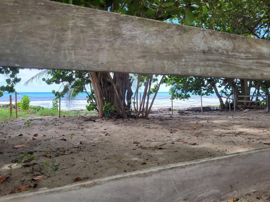 Chéri Bibi sur la plage, piscine, face au Diamant. - B&B Le Diamant