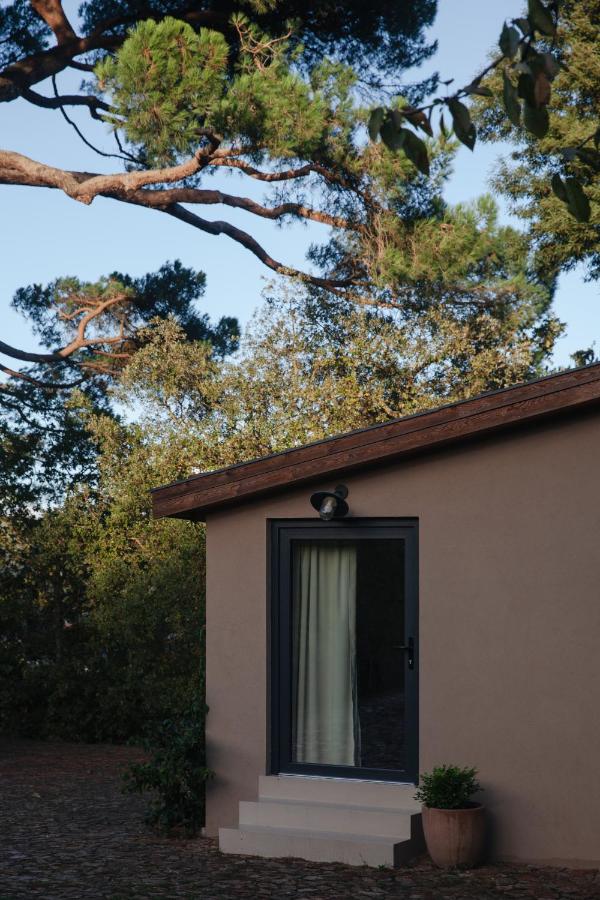 A Padaria Farmhouse - B&B